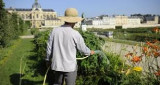 potager-du-roi-35045