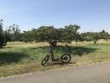 Trip'In Trott - Versailles-Chèvreloup Arboretum 