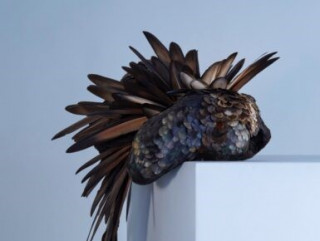 Exhibition - A Tire d'aile_Viroflay