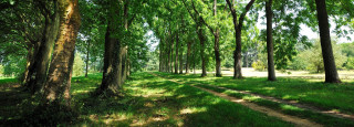 Versailles-Chèvreloup Arboretum - Rendez-vous in the gardens_Le Chesnay-Rocquencourt
