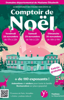 Mostrador y mercado navideño 2025 en la finca de Madame Elisabeth en Versalles (78)_Versailles