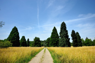 Arboretum de Versailles-Chèvreloup