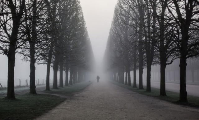 Allée du Grand Canal dans la brume, Parc du Château de Versailles