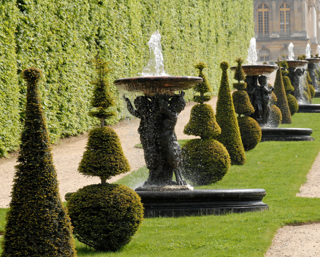 Topiary in Versailles