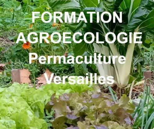Formation agroécologie permaculture