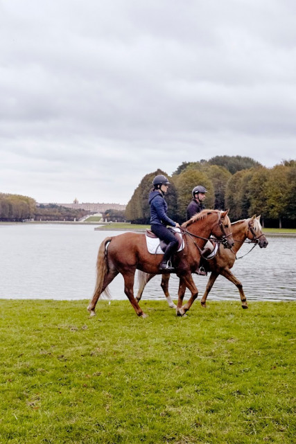 Horseback riding