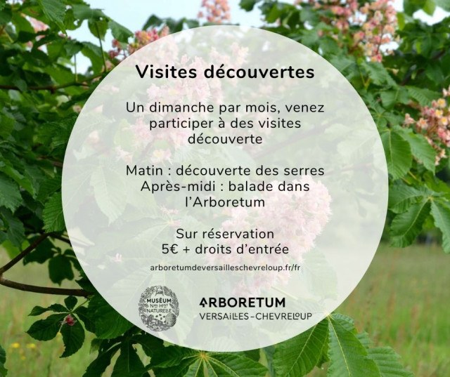 Visites découvertes de l'Arboretum de Versailles-Chèvreloup: Fleurs de Printemps_Le Chesnay-Rocquencourt