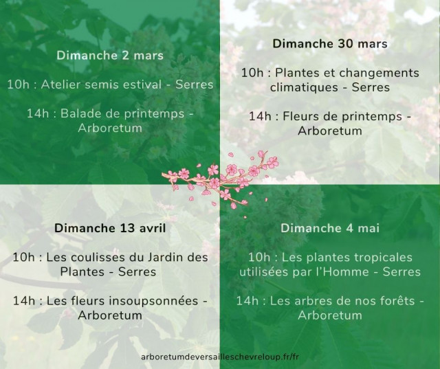 Visites découvertes de l'Arboretum de Versailles-Chèvreloup: Fleurs de Printemps_Le Chesnay-Rocquencourt