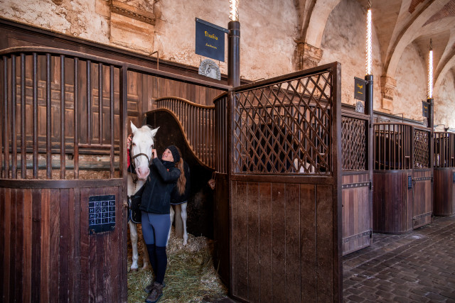Dans les coulisses de l'Académie équestre (visite guidée)_Versailles