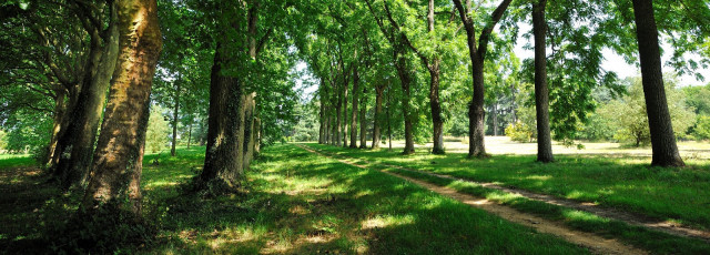 Arboreto de Versalles-Chèvreloup - Cita en los jardines_Le Chesnay-Rocquencourt