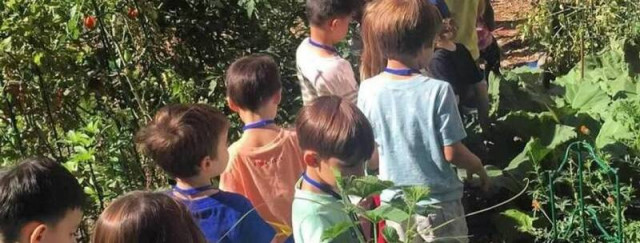 Talleres de jardinería - Descubrimiento sensorial de la Ferme sur l'Île - Printemps sur l'île_Bougival
