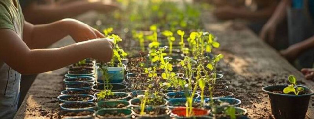 Ateliers au jardin - Atelier semis et plantations à la Ferme sur l’Île  - Printemps sur l'île_Bougival