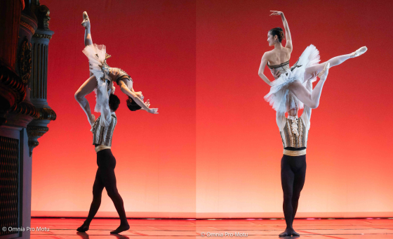 Théâtre Montansier - Chapitres_Versailles Théâtre Montansier - Chapitres_Versailles