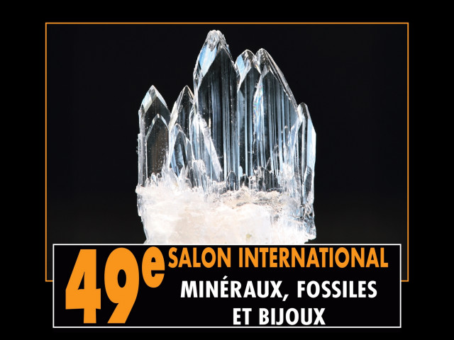 49ème Salon International des Minéraux, fossiles et bijoux_Jouy-en-Josas