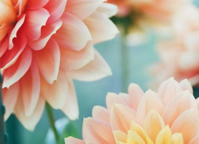 Cool beans - April Holiday Workshop – Flower Power_Versailles