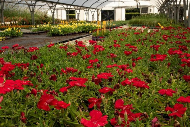 Chèvreloup Arboretum – Behind the scenes at the Botanical Garden_Le Chesnay-Rocquencourt