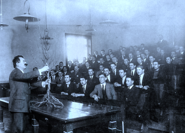 Potager du Roi - Themed guided tour: A garden of heritage since 1945_Versailles