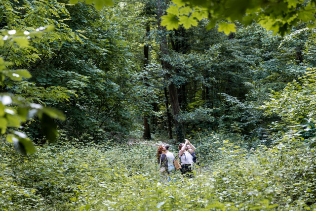 Merveilles de la Nature au bord de la Bièvre (balade découverte)_Jouy-en-Josas