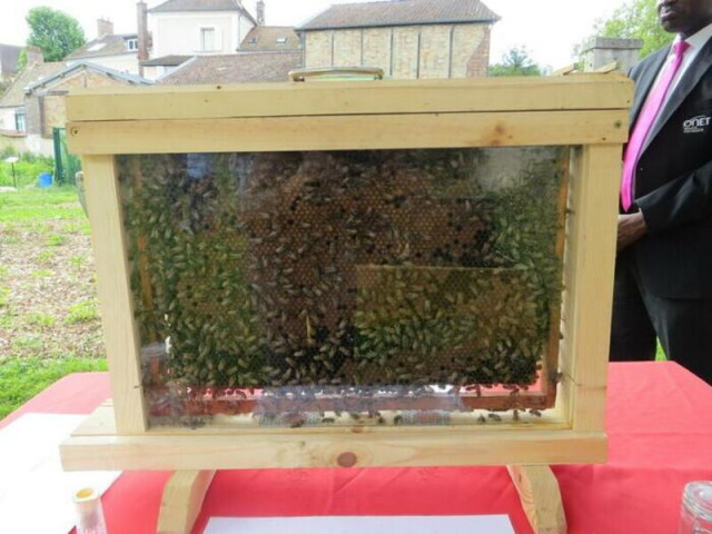 Journée Européennes du Patrimoine - Exposition découverte de l'apiculture_La Celle-Saint-Cloud