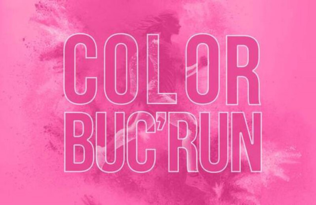 Castle of Buc - Color Buc'Run_Buc
