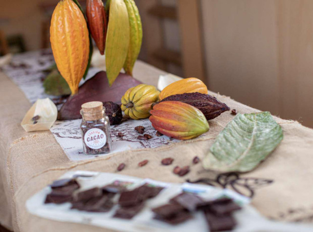 evasion-cacao-photo-agnes-cabosses-vert-et-horiz-2-38005