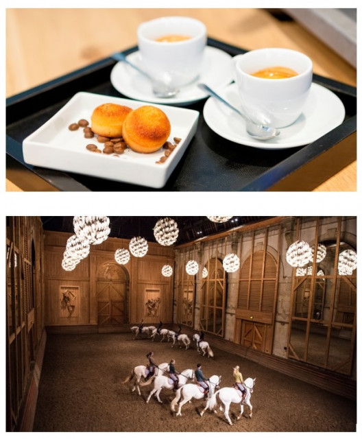 Goûter conférence et spectacle équestre