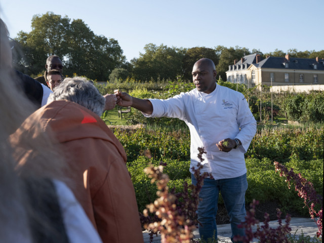 Les Saveurs du Potager