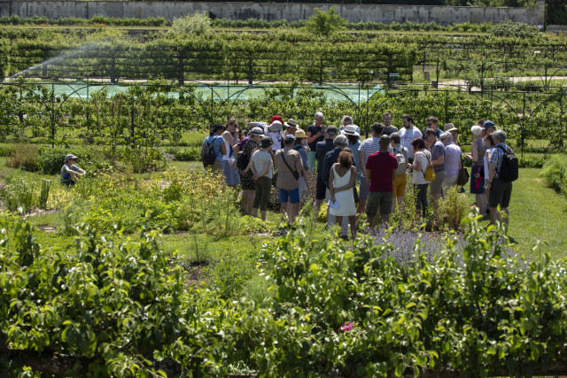 photos-didier-plowy-37692