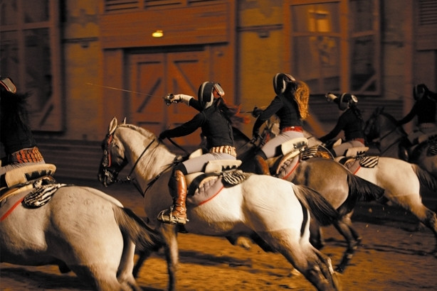Spectacle Voie de l'Écuyère à l'Académie Équestre Nationale de Versailles