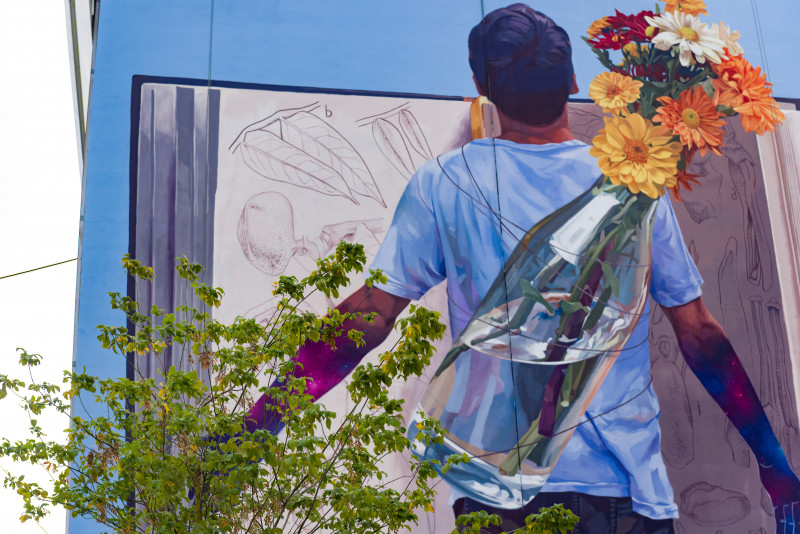 Le Street art grandeur murale à Versailles (visite guidée)