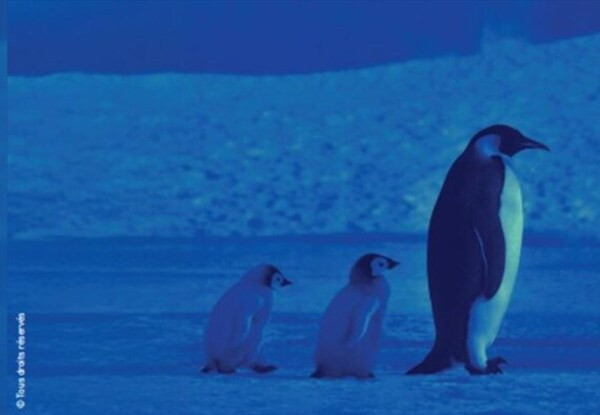 Buc Talk Le climat, et moi, et moi, et moi… 12 leviers pour agir à l’échelle individuelle_Buc