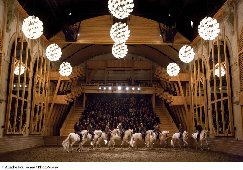 Académie équestre nationale du Domaine de Versailles
