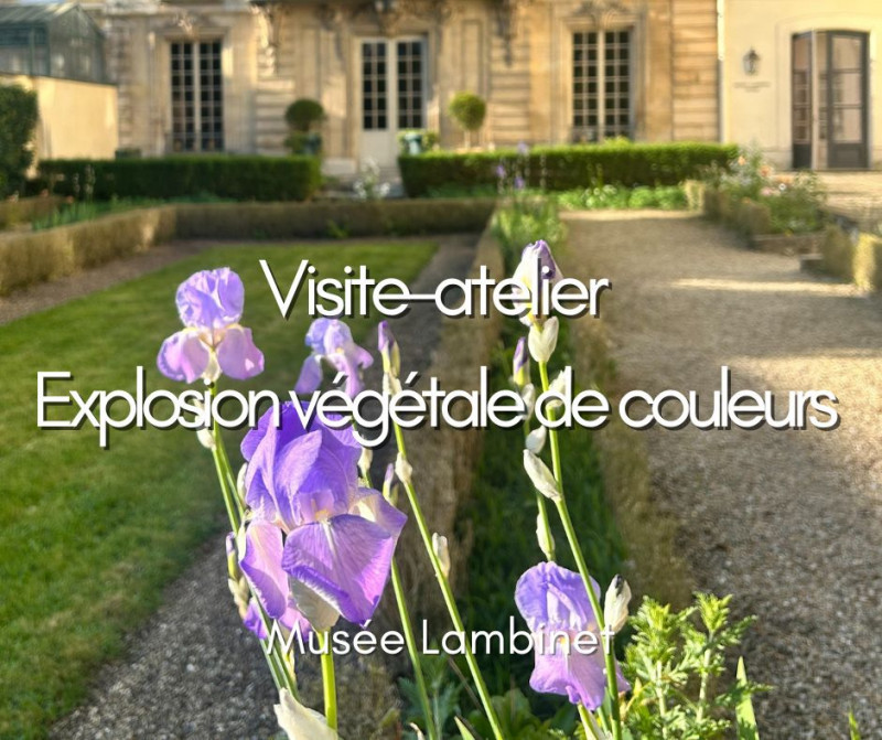Musée Lambinet - Visite-atelier « Explosion végétale de couleurs »_Versailles