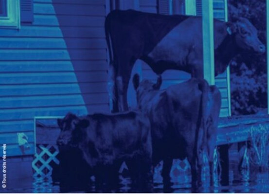 Buc Talk Le changement climatique va affecter votre carrière ! Découvrez pourquoi, et quel rôle vous pouvez jouer_Buc - © Mairie de Buc Buc Talk Le changement climatique va affecter votre carrière ! Découvrez pourquoi, et quel rôle vous pouvez jouer_Buc