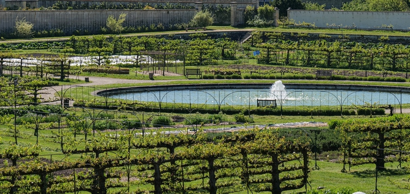 The King’s Kitchen Garden: Impact and Landscape – a symposium organised by the Landscape and Energy Chair_Versailles - © Potager du Roi The King’s Kitchen Garden: Impact and Landscape – a symposium organised by the Landscape and Energy Chair_Versailles