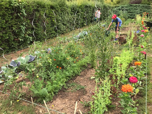 Potager de l'Arborétum Chèvreloup