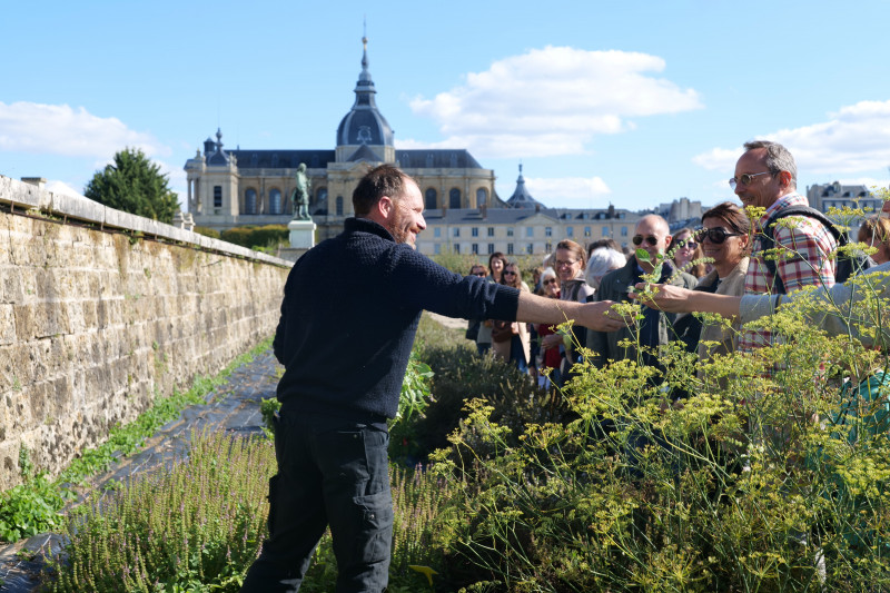 Potager du Roi - Guided tour: exploring a remarkable, multifaceted garden_Versailles - © Zaïna Habib Potager du Roi - Guided tour: exploring a remarkable, multifaceted garden_Versailles