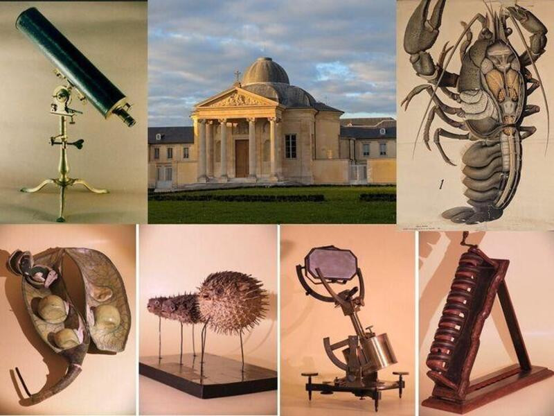Journées Européennes du Patrimoine - Visite du musée historique du lycée Hoche_Versailles - © Florian Audouin Journées Européennes du Patrimoine - Visite du musée historique du lycée Hoche_Versailles