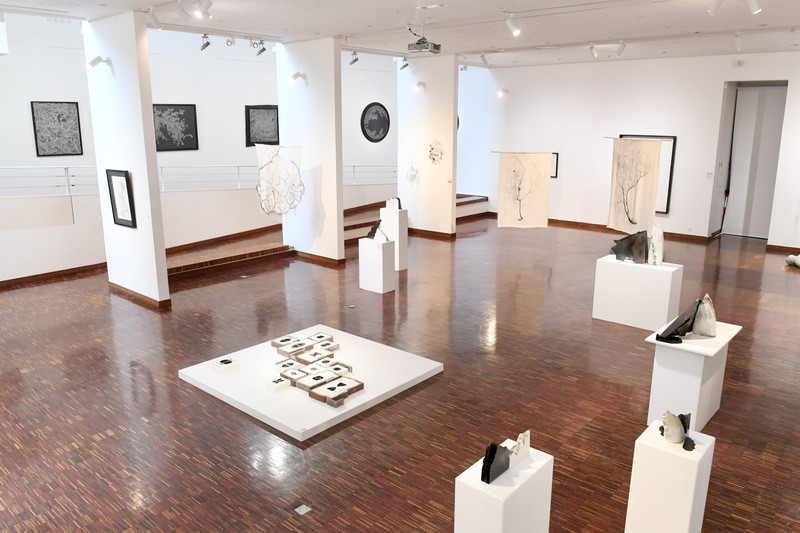 À l'écu de France Gallery – ‘Forests’ Exhibition_Viroflay