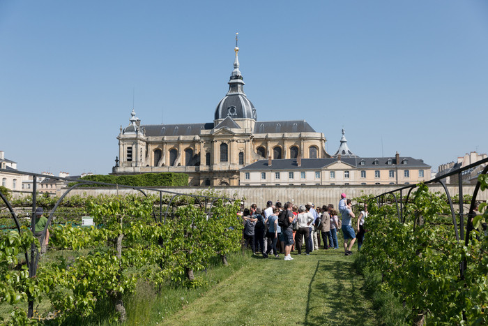 Journées Européennes du Patrimoine 2024 - Potager du Roi - © Potager du roi Journées Européennes du Patrimoine 2024 - Potager du Roi