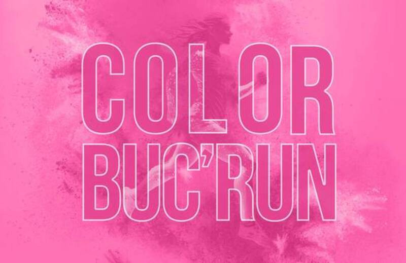 Castle of Buc - Color Buc'Run_Buc
