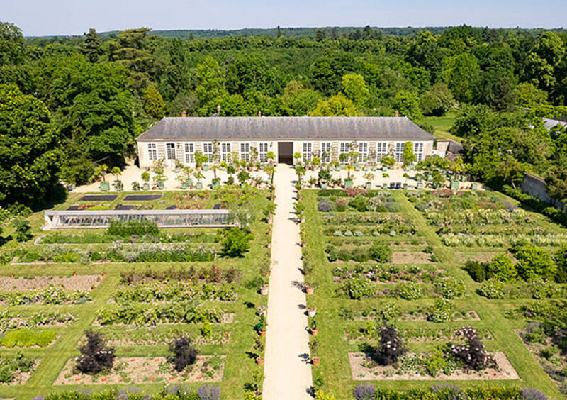 Chateau de Versailles - Découvrez le Jardin du Parfumeur !_Versailles - © Ville de Versailles Chateau de Versailles - Découvrez le Jardin du Parfumeur !_Versailles