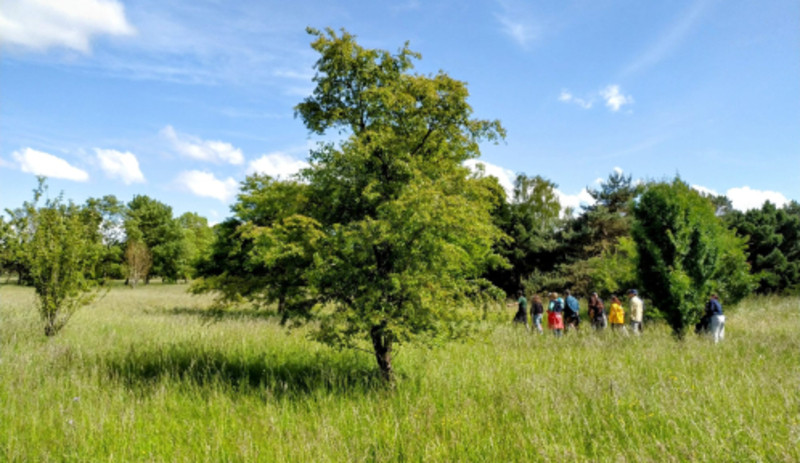 Arboretum de Versailles-Chèvreloup - Visites guidées en famille_Le Chesnay-Rocquencourt - © Arboretum de Versailles-Chèvreloup Arboretum de Versailles-Chèvreloup - Visites guidées en famille_Le Chesnay-Rocquencourt