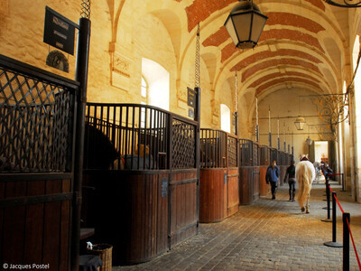 Académie Equestre Nationale de Versailles - © Jacques Postel Jacques Postel