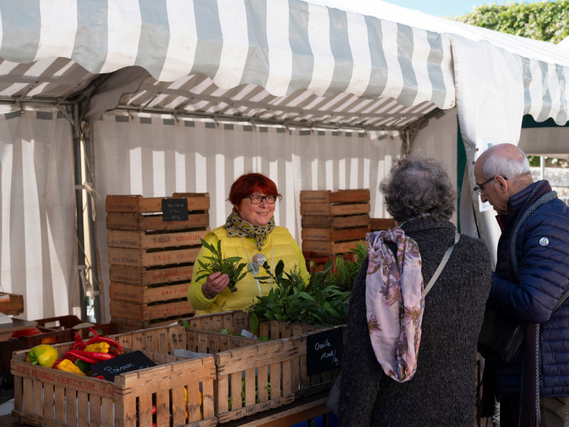 Les Saveurs du Potager