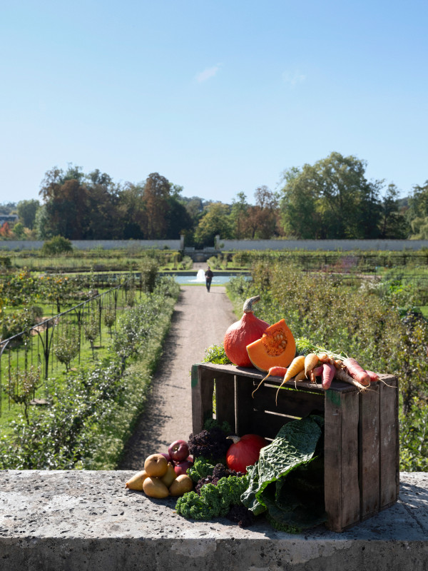 Les Saveurs du Potager