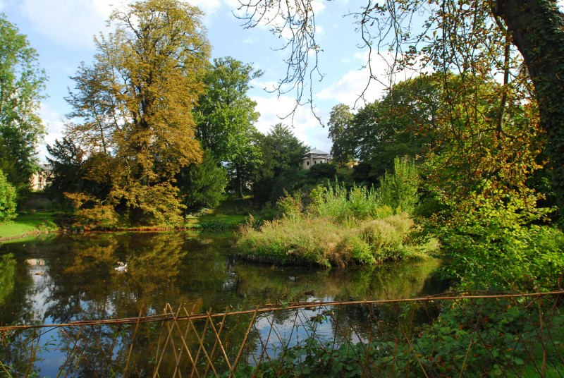 Parc avec un étang