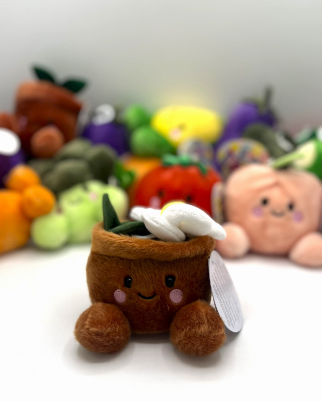 Peluche Pot de Fleur