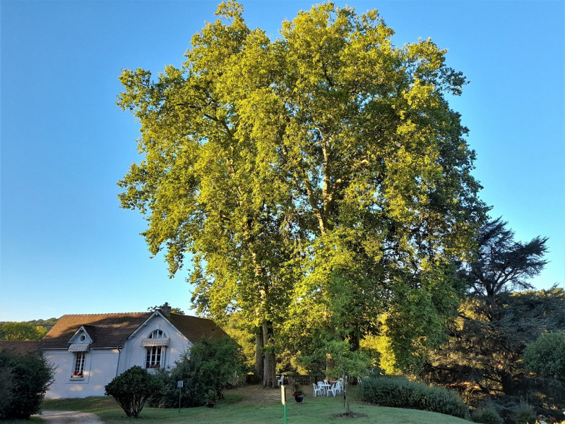 salon-de-th-les-feuillantines-30998