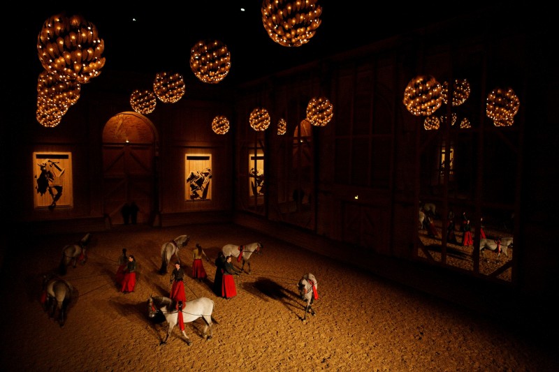 Académie équestre - spectacle équestre - écurie - chevaux - Versailles - Bartabas